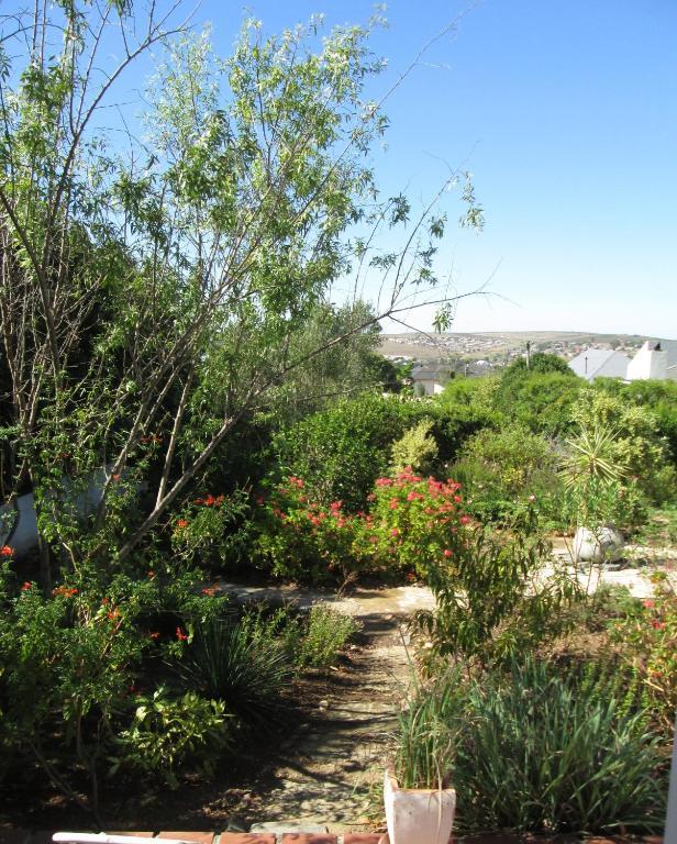 Impangele Guest House Swellendam Exteriör bild
