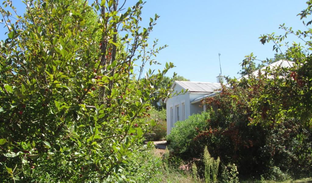 Impangele Guest House Swellendam Rum bild