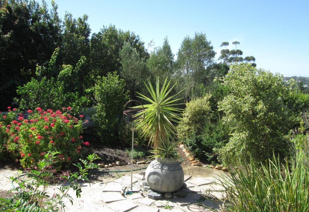 Impangele Guest House Swellendam Exteriör bild